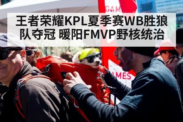 王者荣耀KPL夏季赛WB胜狼队夺冠 暖阳FMVP野核统治